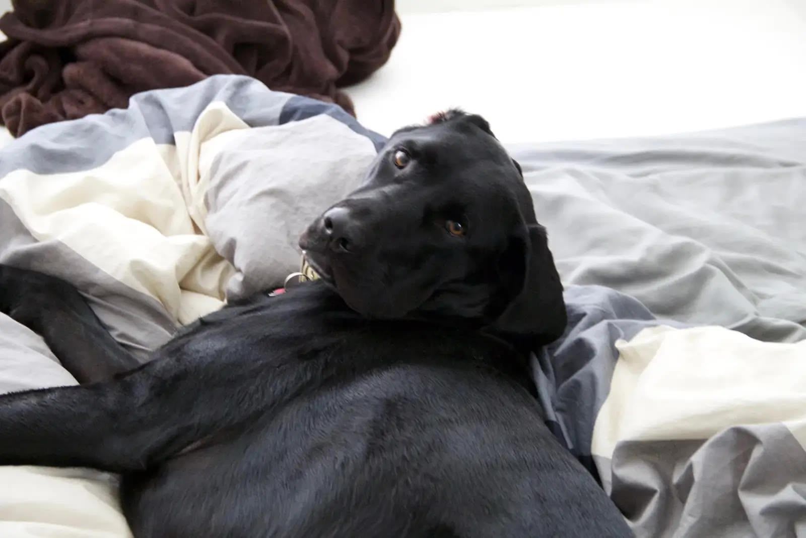 Ellie looking over her shoulder