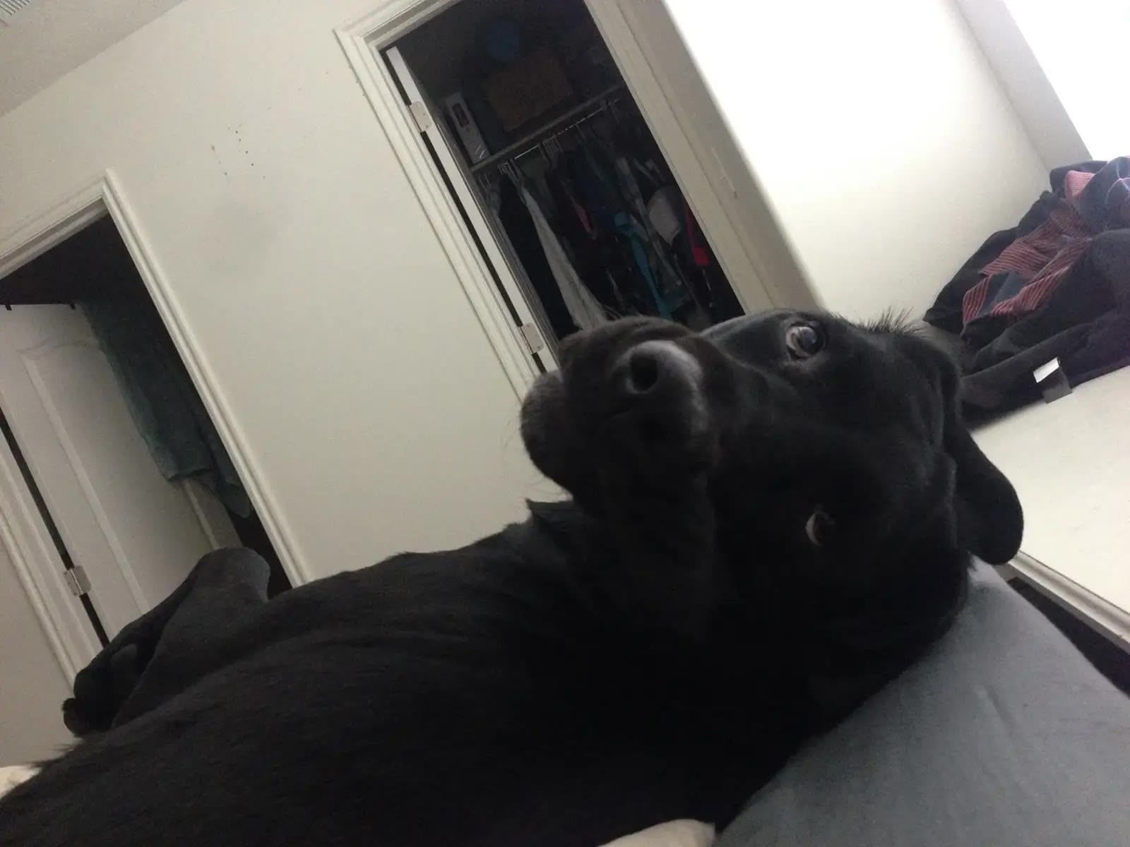 Ellie looking over her shoulder