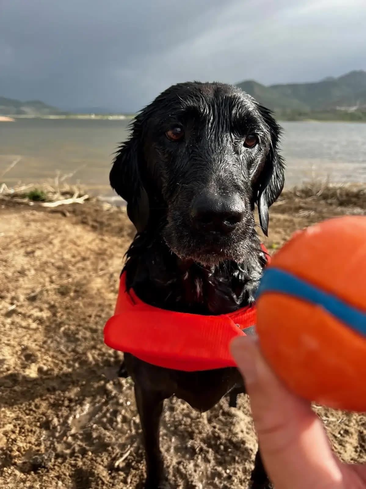 Ellie celebrating her birthday