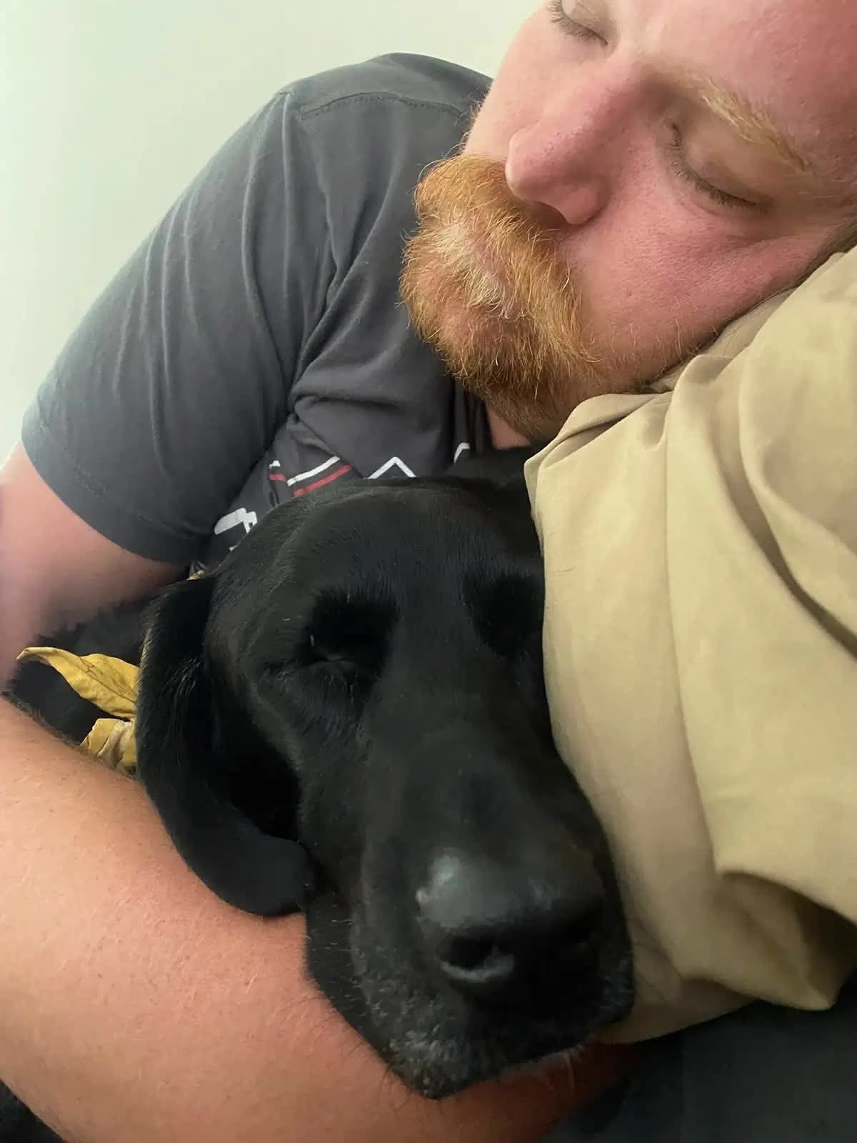 Ellie looking prestigious